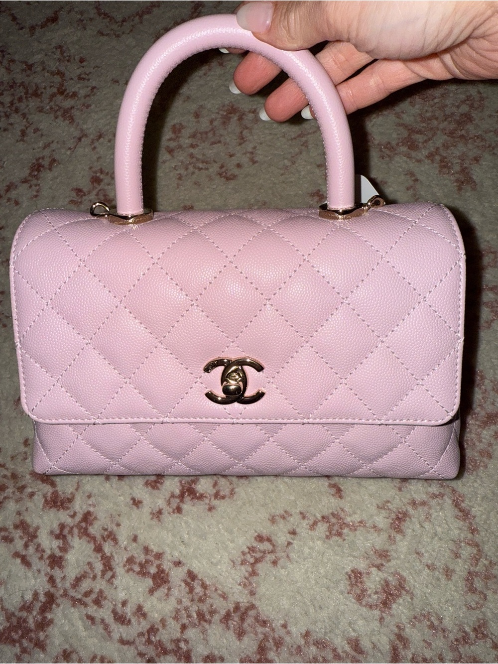 Baby Pink Mini Coco Handle